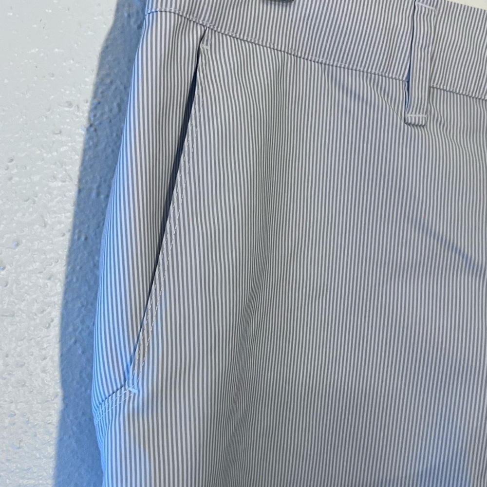 MEN CHAMPION QUICK BLUE & WHITE PIN STRIPE GOLF Preppy SHORTS Size 36 - Picture 4 of 6